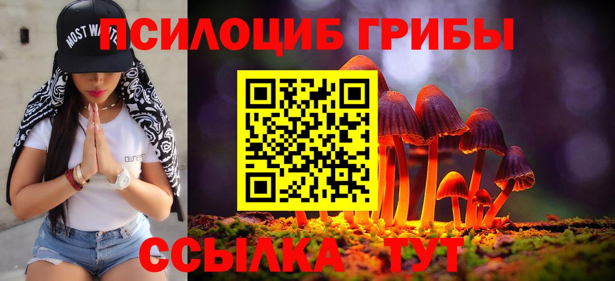 Псилоцибиновые грибы MAGIC MUSHROOMS Кунгур