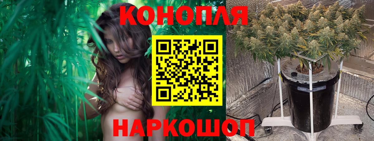 Марихуана семена  МАРИХУАНА SATIVA & INDICA  Кунгур  Вход с VPN 
